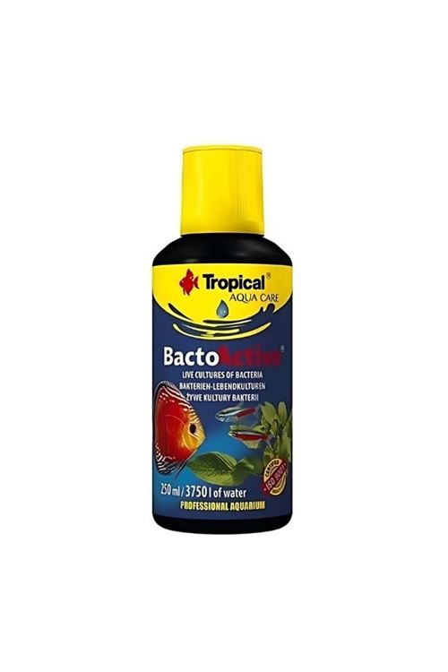 Tropical Bacto Active Akvaryum Bakteri Kültürü 250 Ml