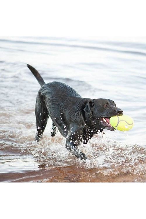 Kong Air Sq Sesli Futbol Top Köpek Oyuncağı Small 8.5 Cm