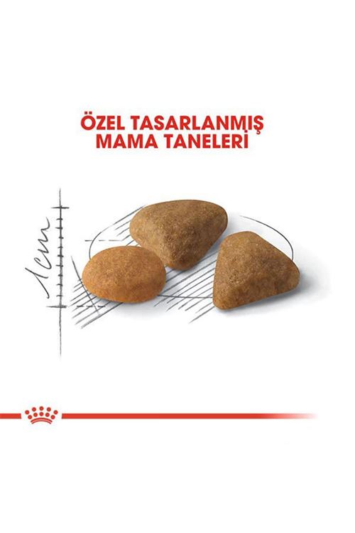Royal Canin Exigent Savour Seçici Yetişkin Kedi Maması 2 Kg