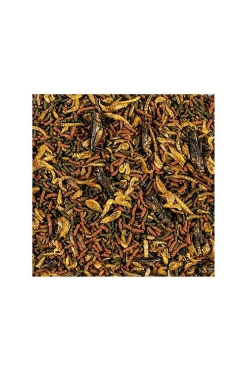 Tropical Softline Carnivore Büyük Yırtıcı Balıklar için Çubuk Balık Yemi 1000 Ml 320 Gr