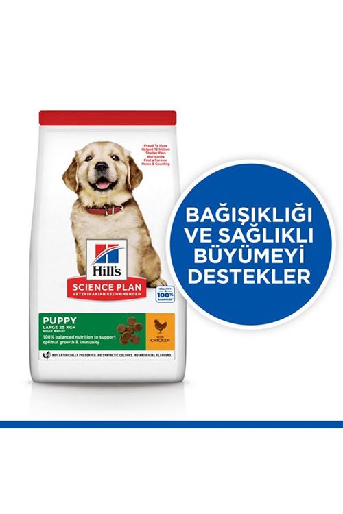 Hills Puppy Large Büyük Irk Yavru Köpek Maması 14.5 Kg