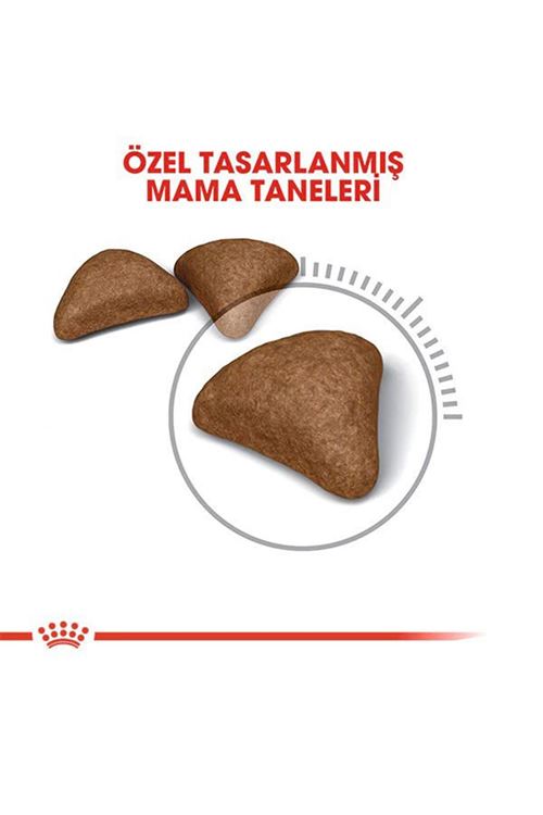 Royal Canin Hairball Tüy Yumağı Önleyici Yetişkin Kedi Maması 2 Kg