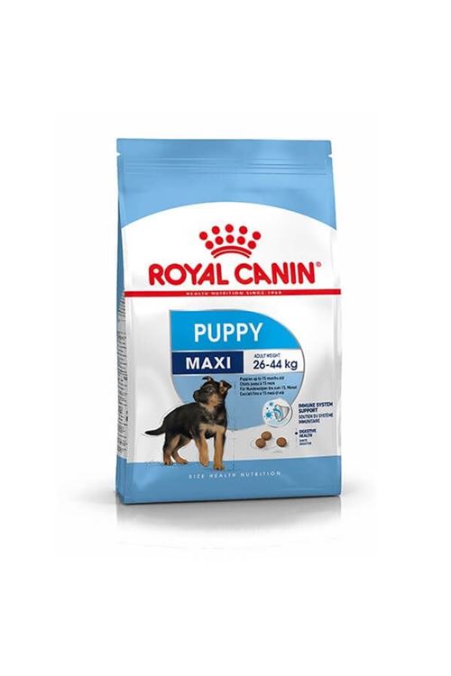 Royal Canin Maxi Puppy Büyük Irk Yavru Köpek Maması 15 Kg