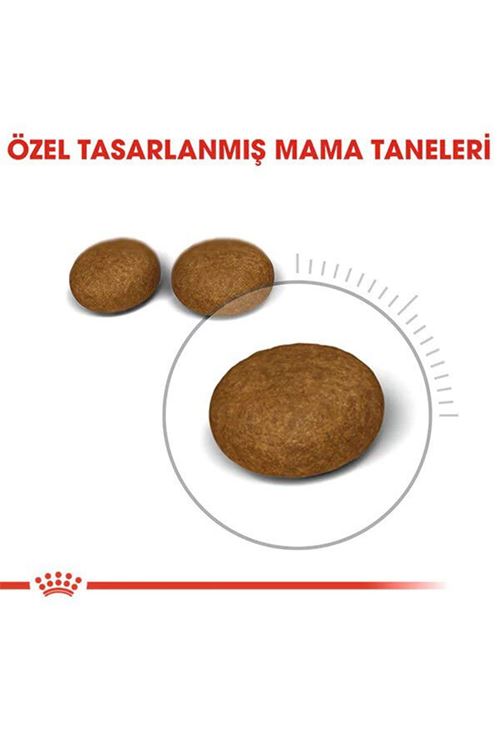 Royal Canin Hair Skin Deri ve Tüy Sağlığı için Kedi Maması 4 Kg