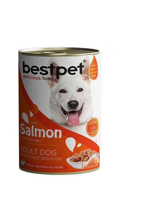 Bestpet Somonlu Jöleli Yetişkin Köpek Konservesi 400 Gr
