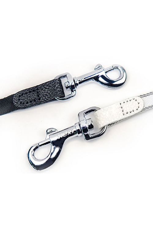 Flexi Style Şerit Otomatik Köpek Gezdirme Tasması Medium Mint 5 Mt