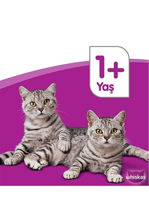 Whiskas Biftekli ve Havuçlu Yetişkin Kedi Maması 300 Gr
