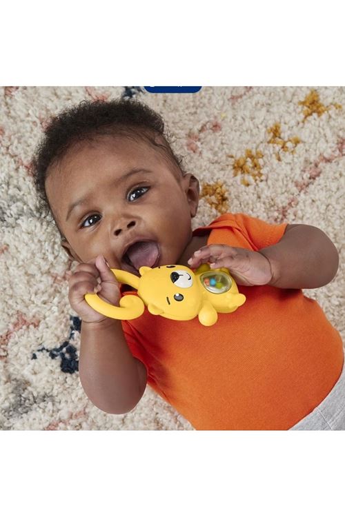 Fisher Price Eğlenceli Dostlar Çıngıraklı Dişlik HJW11-HKD71