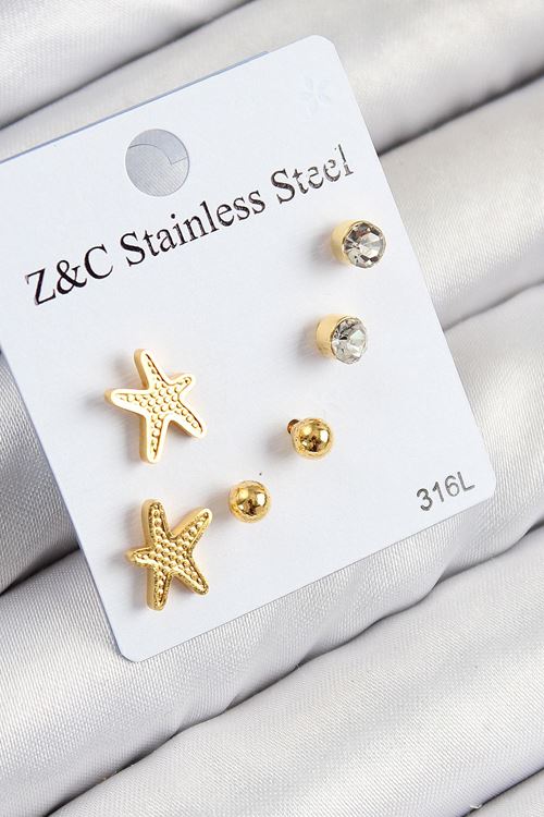 316L Çelik Zirkon Taşlı Deniz Yıldızı Model Gümüş Renk Kadın Set Küpe